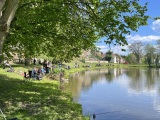 Obrázek v galerii