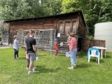 Obrázek v galerii